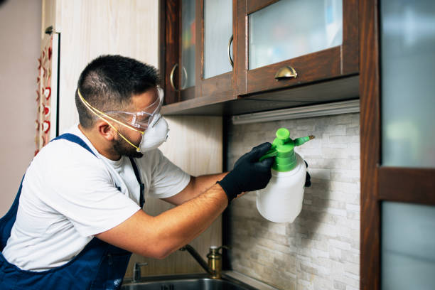 Best Pest Control Cost  in Brunswick, OH