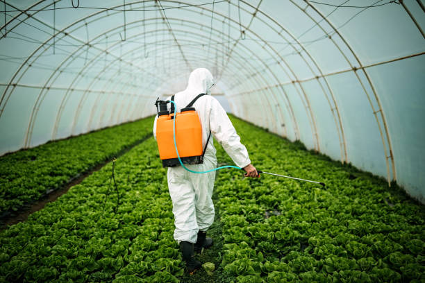 Professional Pest Control in Brunswick, OH