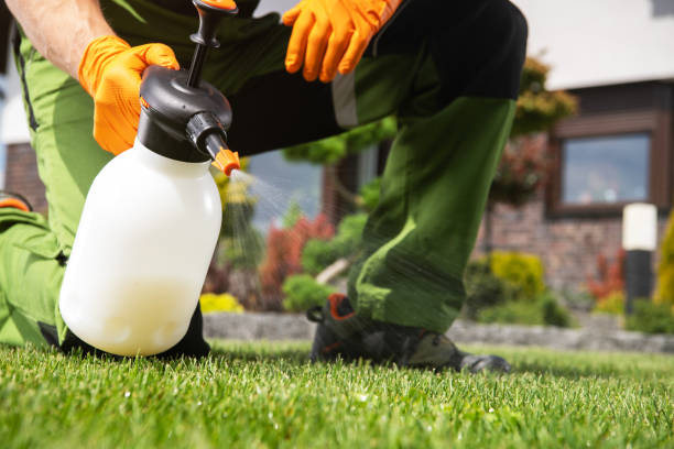 Best Mosquito Control Services  in Brunswick, OH