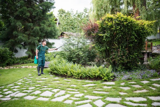 Best Residential Pest Control  in Brunswick, OH