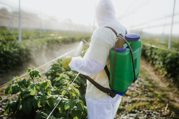 Best Wasp Removal Services  in Brunswick, OH